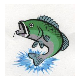 Websites: Fishing Website