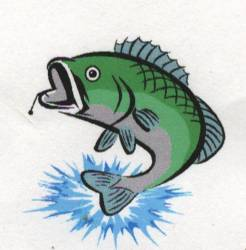 Websites: Fishing Website
